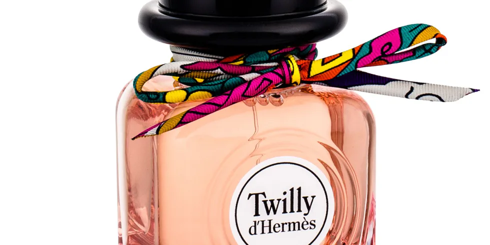 Buďte Cool s Twilly od Hermes