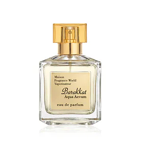 Parfémovaná voda Fragrance World Aqua Aevum 100 ml