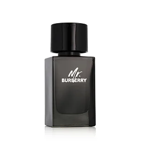 Burberry Mr. Burberry EDP 100 ml M