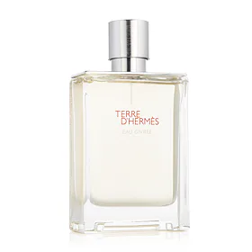 Hermès Terre D'Hermès Eau Givrée EDP plnitelný 100 ml M