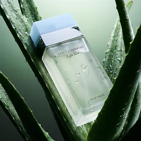 Toaletní voda Dolce&Gabbana Light Blue 100 ml